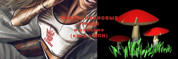 крисы Михайловка
