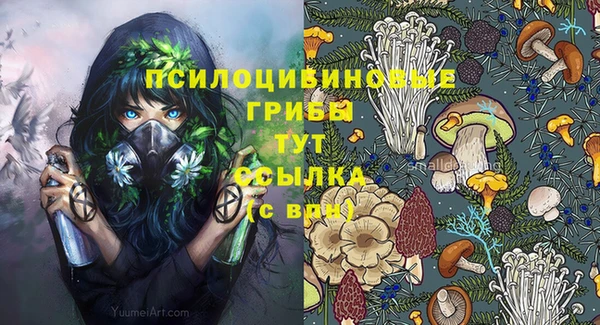 крисы Михайловка