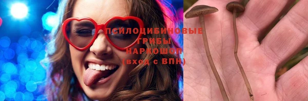 мяу мяу мука Михайловск