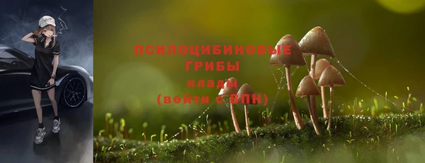 мяу мяу мука Михайловск