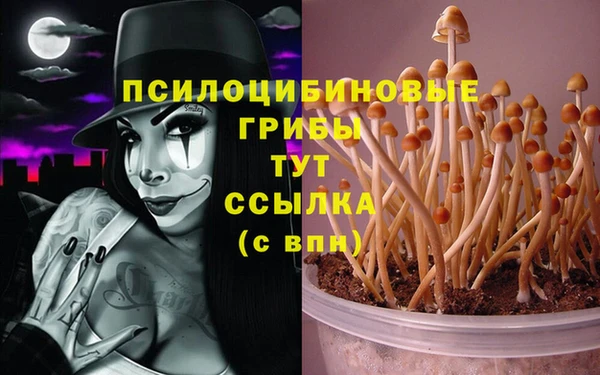 мяу мяу мука Михайловск