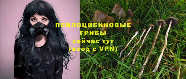 амф Михайлов